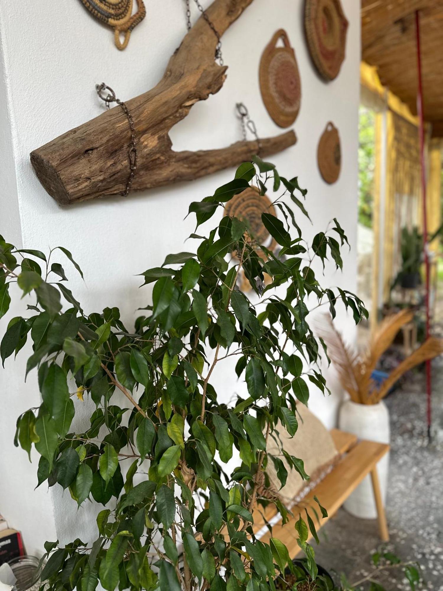 L'Onda Oda Bodrum 외부 사진